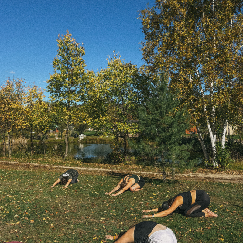 Retraite Soleil à Arundel